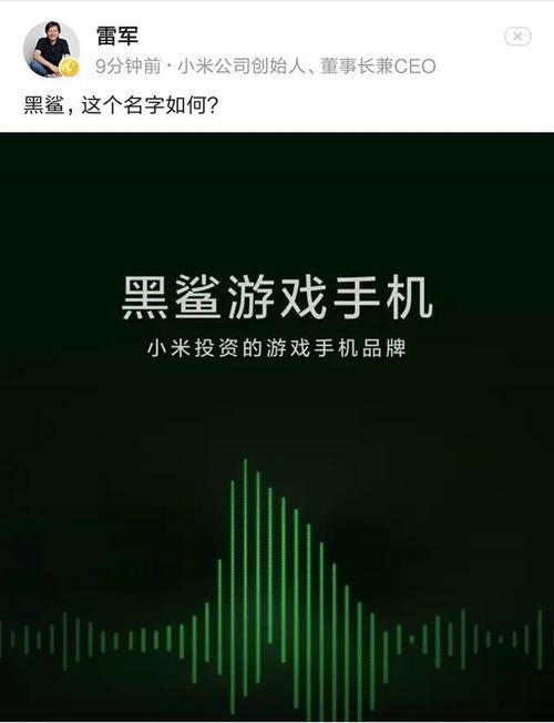 雷军新手机爆料视频,颠覆性设计，性能突破，引领科技潮流！”